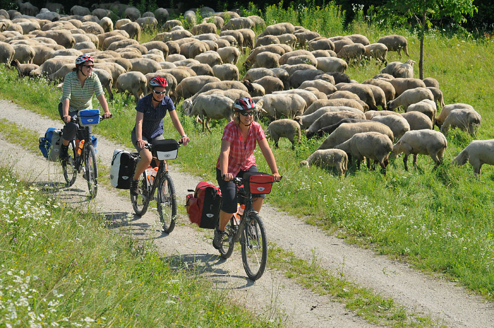 naturschutzgebiet-isarmuendung.jpg
