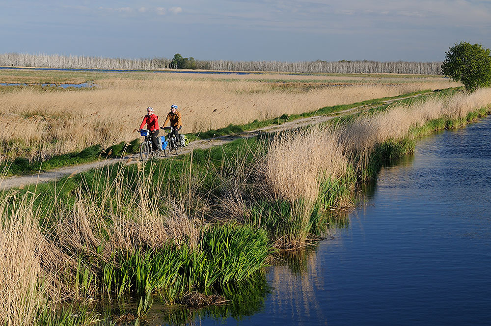 anklamer-torfmoor-fahrrad.jpg