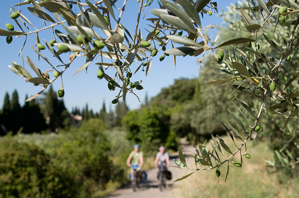 Provence Fahrradreise