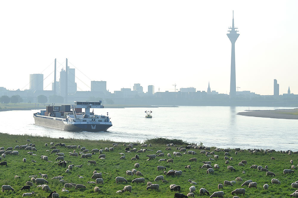 rhein-duesseldorf.jpg