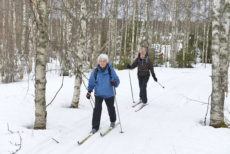finnland-wald-winter.jpg