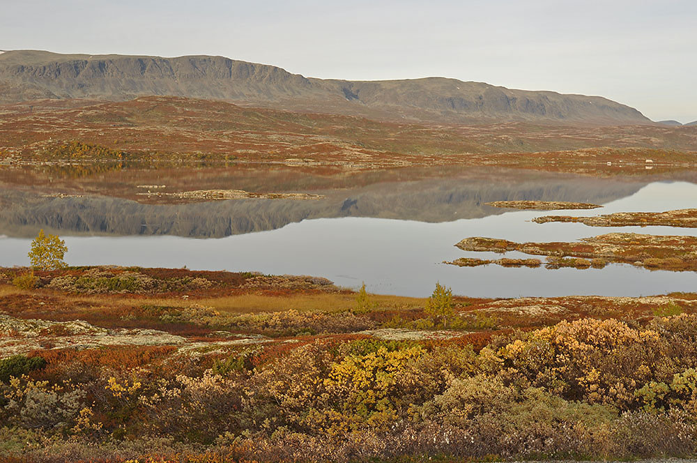 fjell-norwegen-herbst.jpg