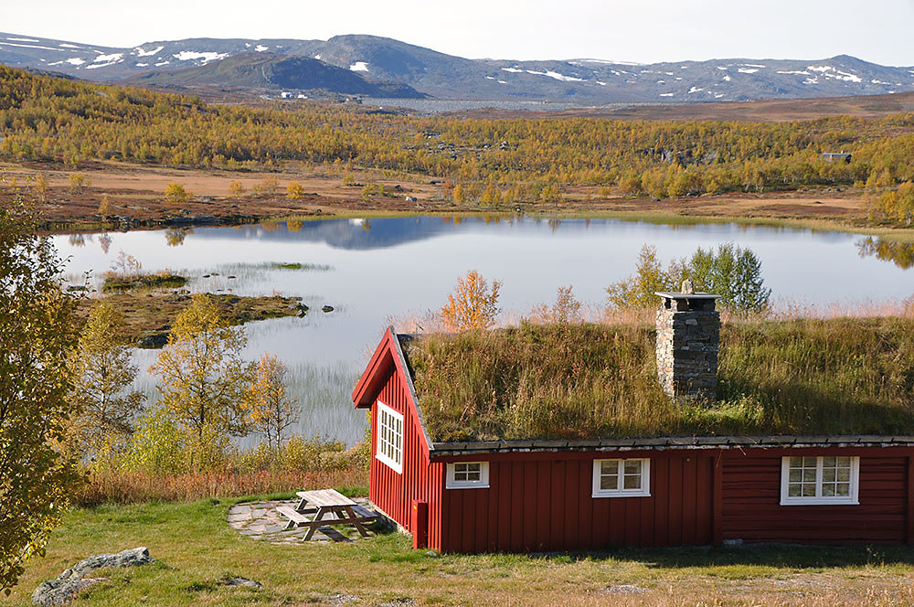 herbstlandschaft-norwegen.jpg