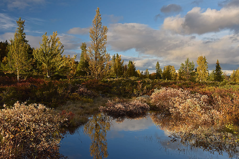 golgebirge-norwegen.jpg