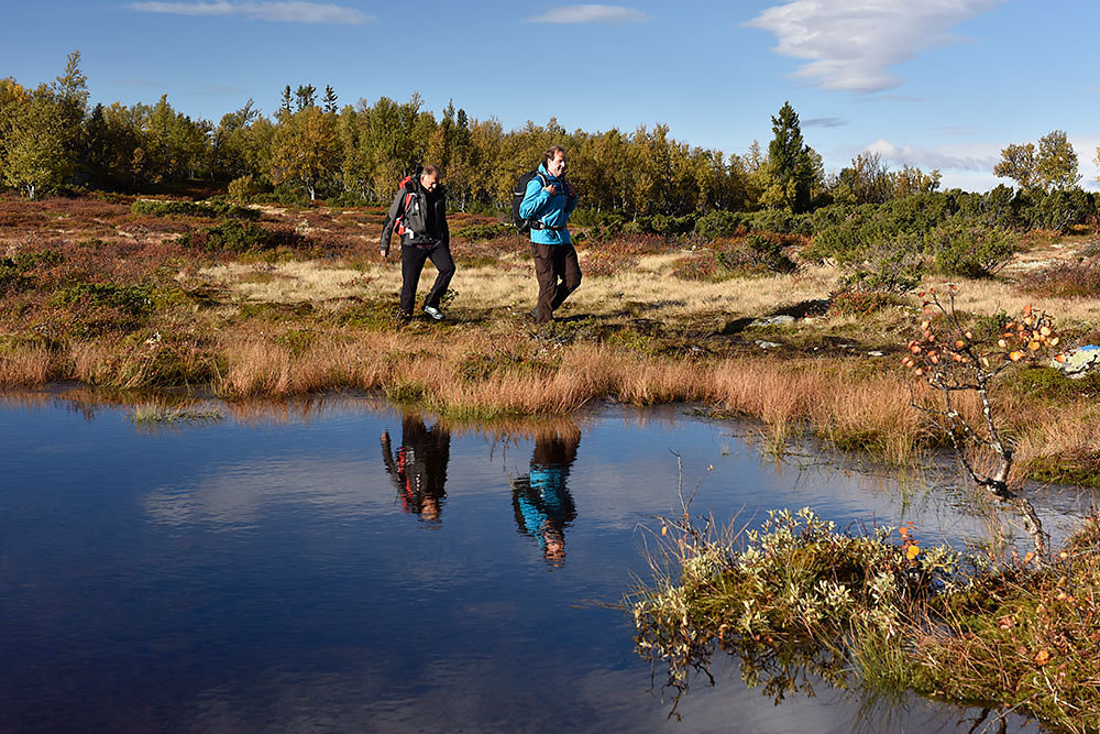 nystolsfjellet-wandern.jpg